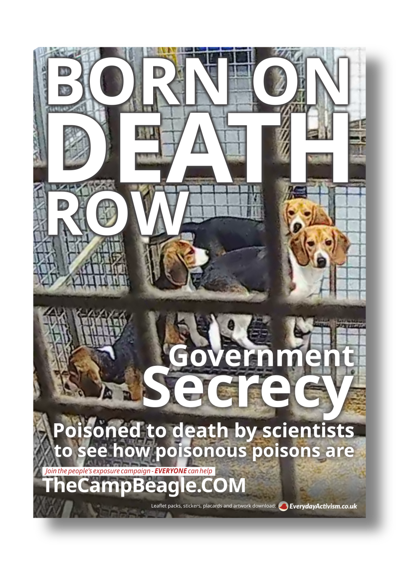 Born on Death Row Stickers 30 Pack The Camp Beagle