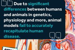 animal-free-research-image-02-july-2025