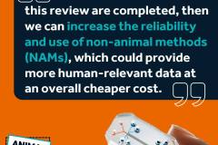 animal-free-research-image-03-july-2025