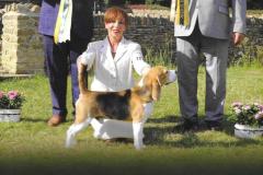 beagle-club-cover-april-2025