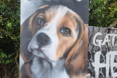 camp-beagle-spray-paint-sept-2023.05