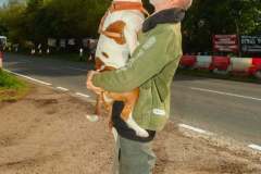 camp-beagle-dogs-05-may-2025-min camp-beagle-dogs-05-may-2025-min