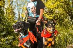 camp-beagle-dogs-07-may-2025-min camp-beagle-dogs-07-may-2025-min