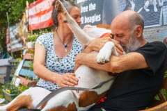 camp-beagle-dogs-11-may-2025-min camp-beagle-dogs-11-may-2025-min