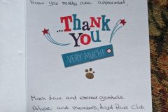 loyal-paws-club-06-aug-2025