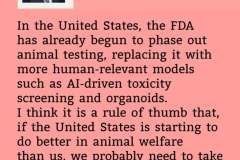 camp-debate-11-may-2025