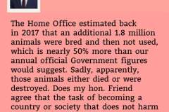 camp-debate-17-may-2025