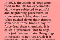 camp-debate-18-may-2025