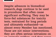 camp-debate-19-may-2025