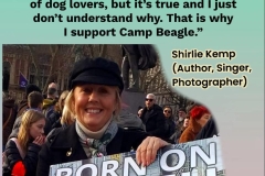 Celebs Speak up for Camp Beagle
