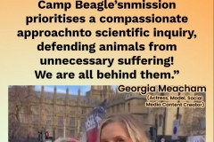 Celebs Speak up for Camp Beagle