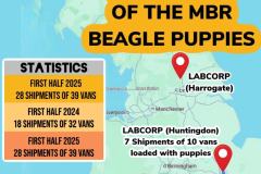 impex-vans-03-july-2025