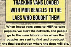 impex-vans-04-july-2025