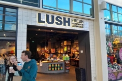 1_lush-13-min