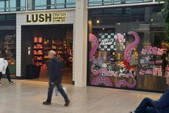 lush-21-min