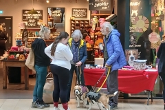 lush-peterborough-01-march-2025