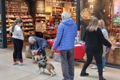 lush-peterborough-03-march-2025