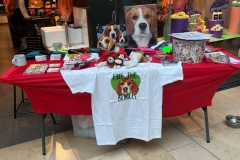 lush-peterborough-06-march-2025