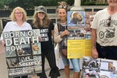 1_296787344_814267632925089_852952146539453800_n