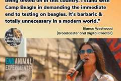 parliament-image-04-may-2025