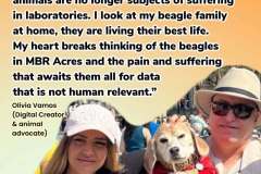 parliament-image-07-may-2025