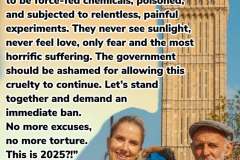 parliament-image-08-may-2025