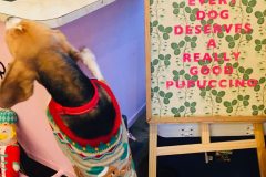 2025.12.07-Pop-and-Bark-2