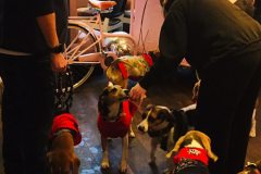 2025.12.07-Pop-and-Bark-3