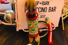 2025.12.07-Pop-and-Bark-4