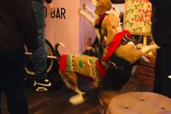 2025.12.07-Pop-and-Bark-5