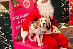 2025.12.07-Pop-and-Bark-6