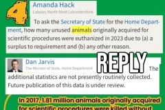 camp-beagle-questions-april-2025-02