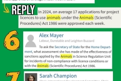 camp-beagle-questions-april-2025-03