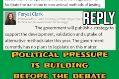 camp-beagle-questions-april-2025-04