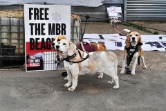 Bella, Gracie & Lottie  at IMPEX 15th August 2024