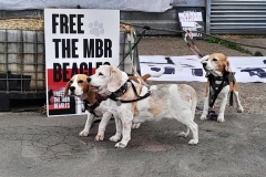 Bella, Gracie & Lottie  at IMPEX 15th August 2024