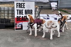 Bella, Gracie & Lottie  at IMPEX 15th August 2024