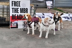 Bella, Gracie & Lottie  at IMPEX 15th August 2024