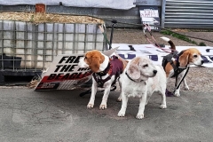 Bella, Gracie & Lottie  at IMPEX 15th August 2024