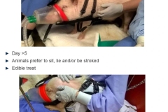 simon-moore-image-feb-2025-05