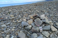 where-in-the-world-image-01-march-2025