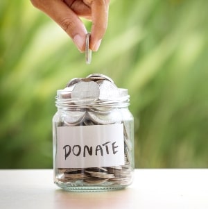 donate iStock813128966300x300min Camp Beagle