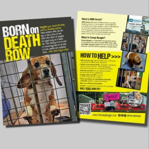 BODR Leaflets - 100 pack