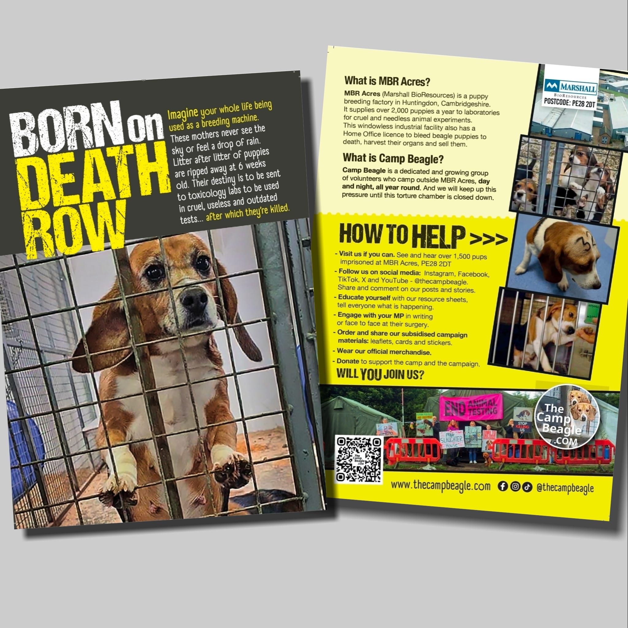 BODR Leaflets - 100 pack