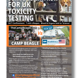 productimageplacarddeathrowoutreachpng Camp Beagle