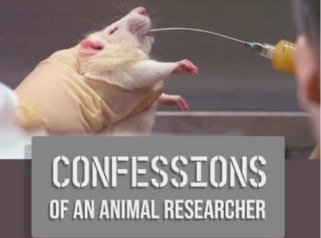 Confessions of an Animal Researcher - The Camp Beagle