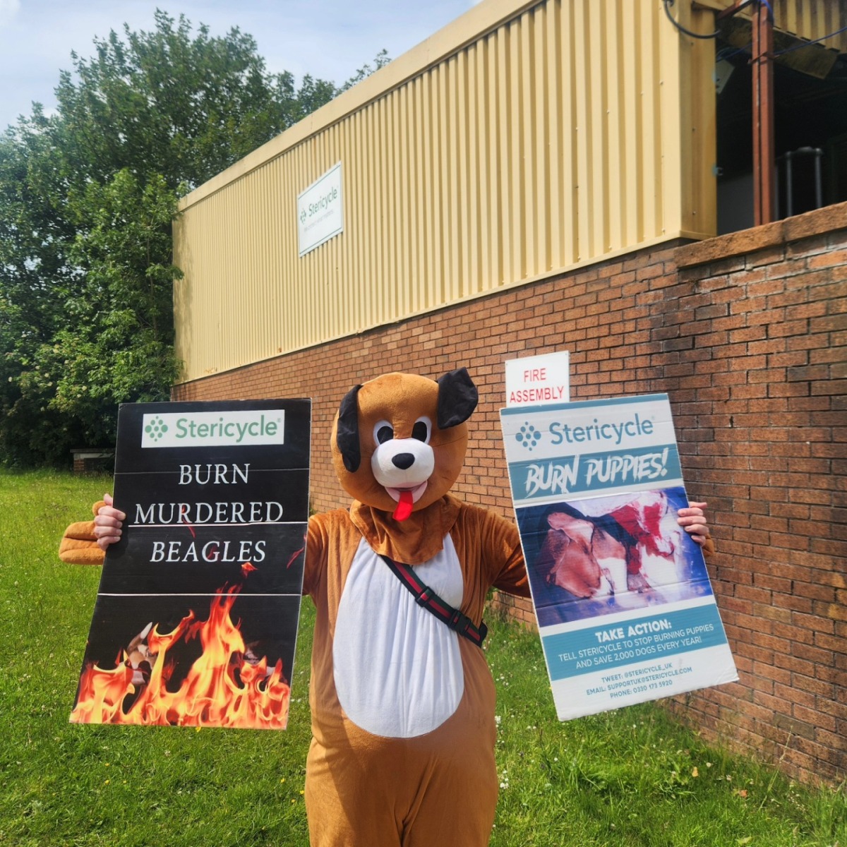 Beagle protestor