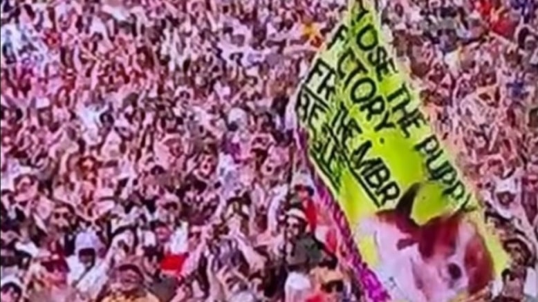 Glastonbury Flag June 2025