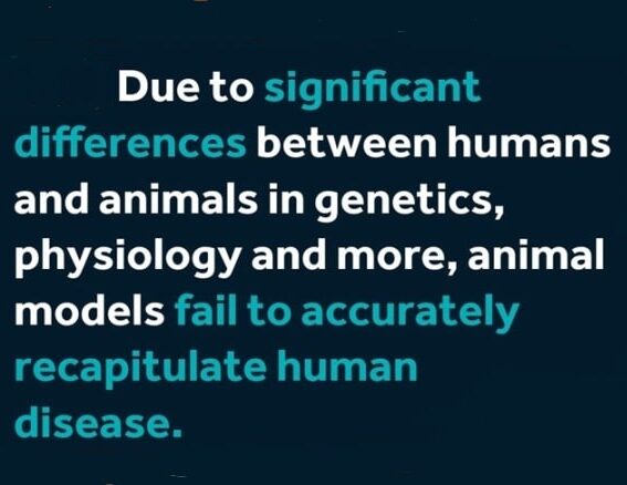 Animal Free Research Image