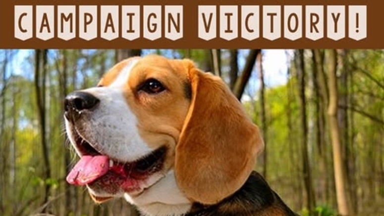 MBR Suppliers Campaign Victory